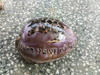 Carved & Cut Decorative Shells