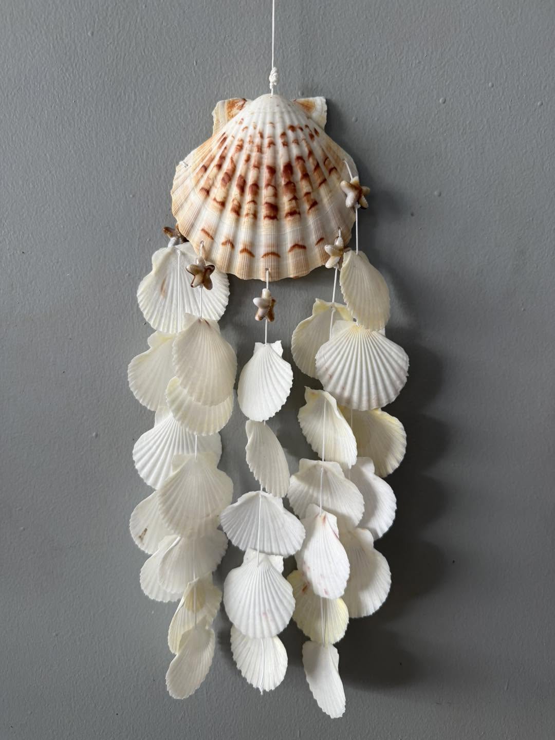 Australian scallop shell wind chime