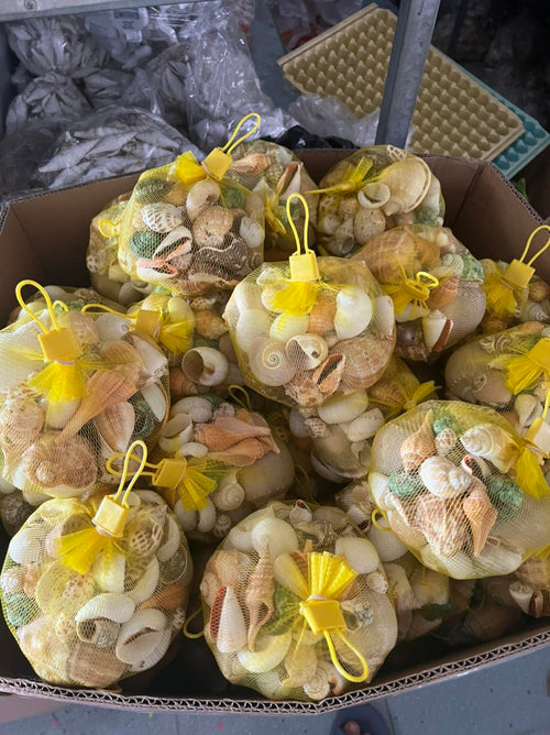 Assorted Seashell Craft Bags