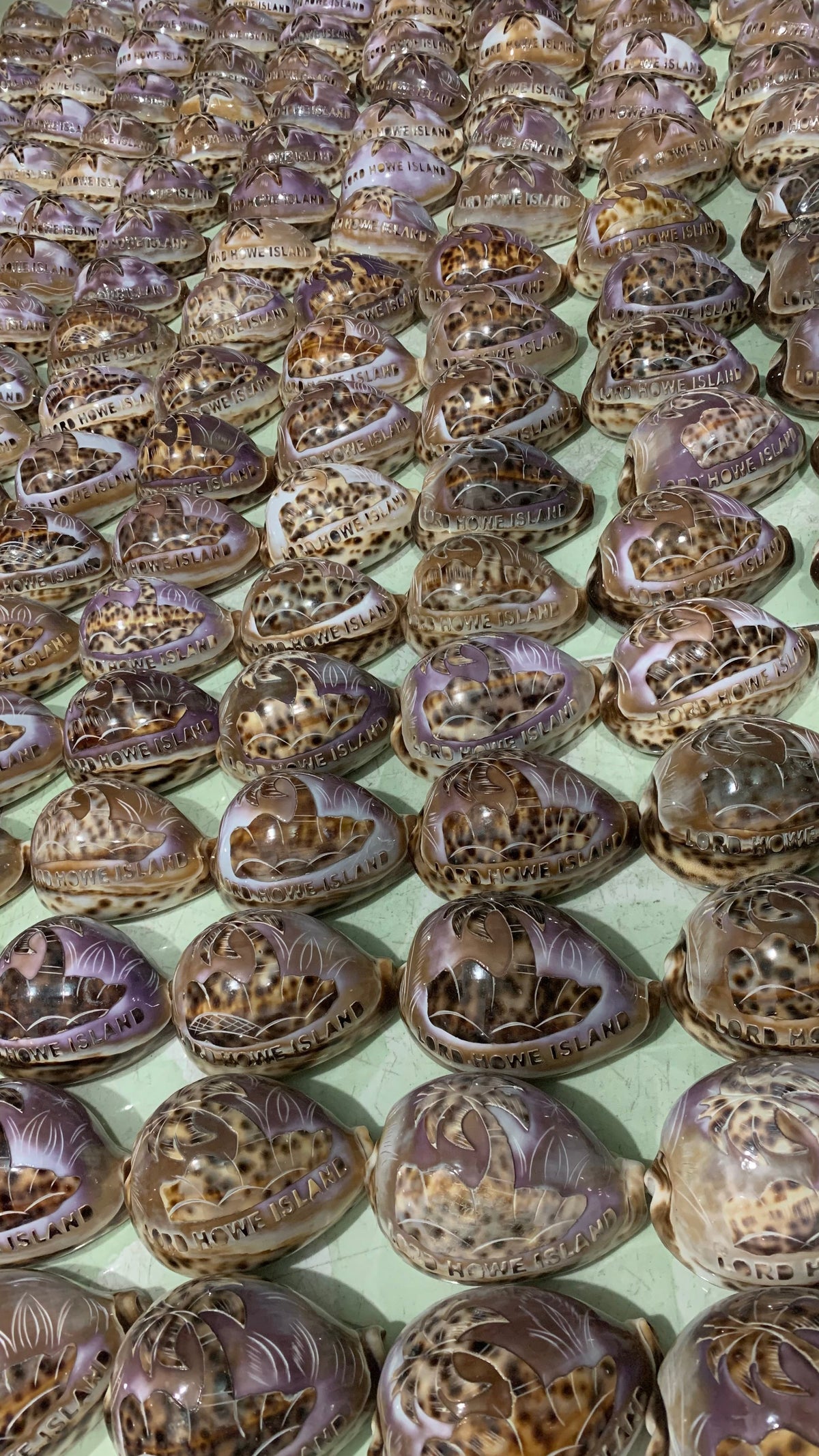 Carved & Cut Decorative Shells