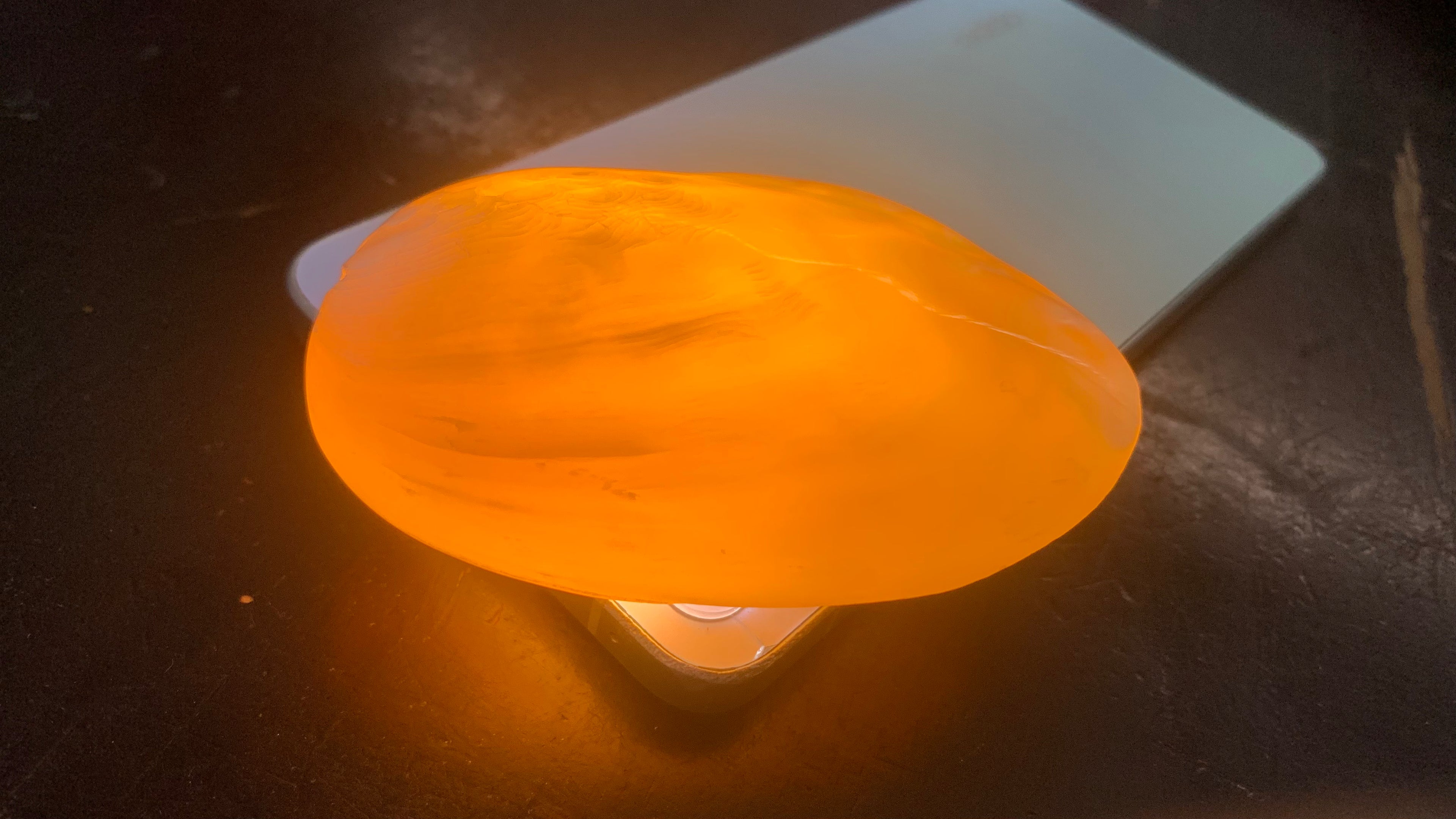Cup-Shaped Mother-of-Pearl Shells