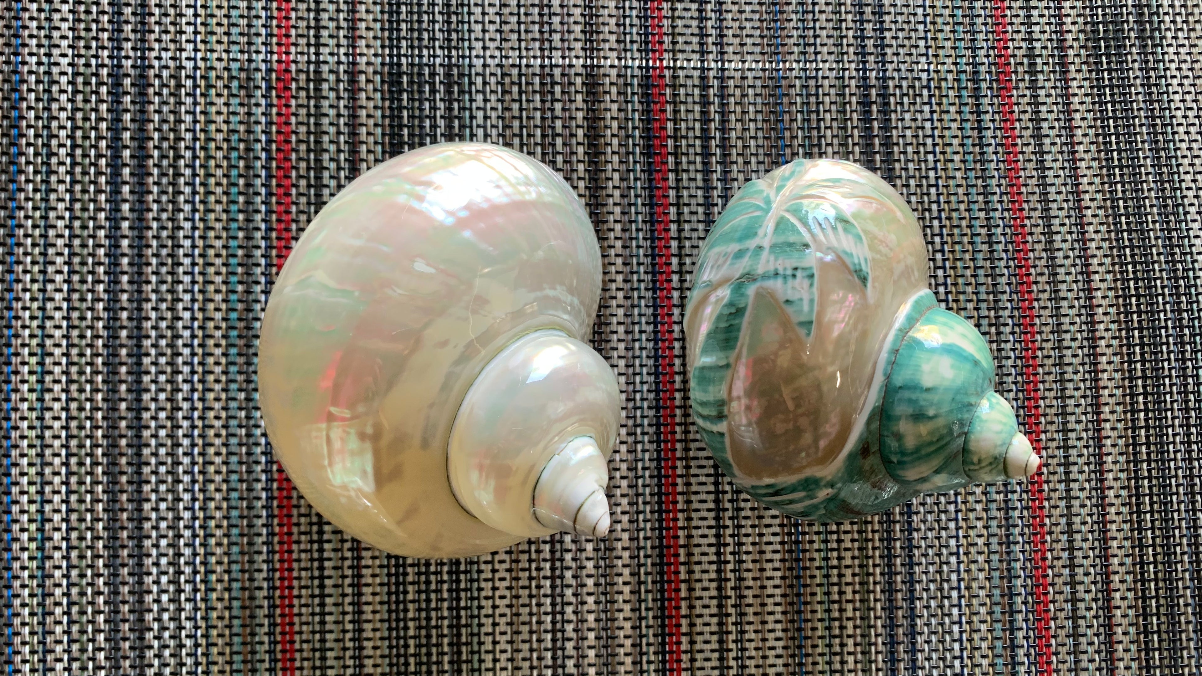 Finished Turbo Shell Components