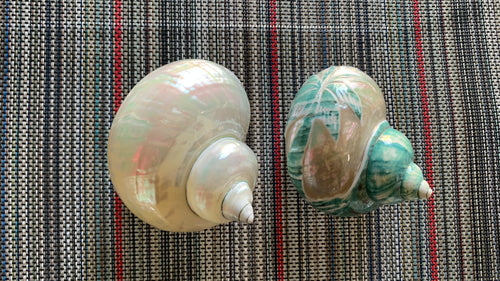 Finished Turbo Shell Components